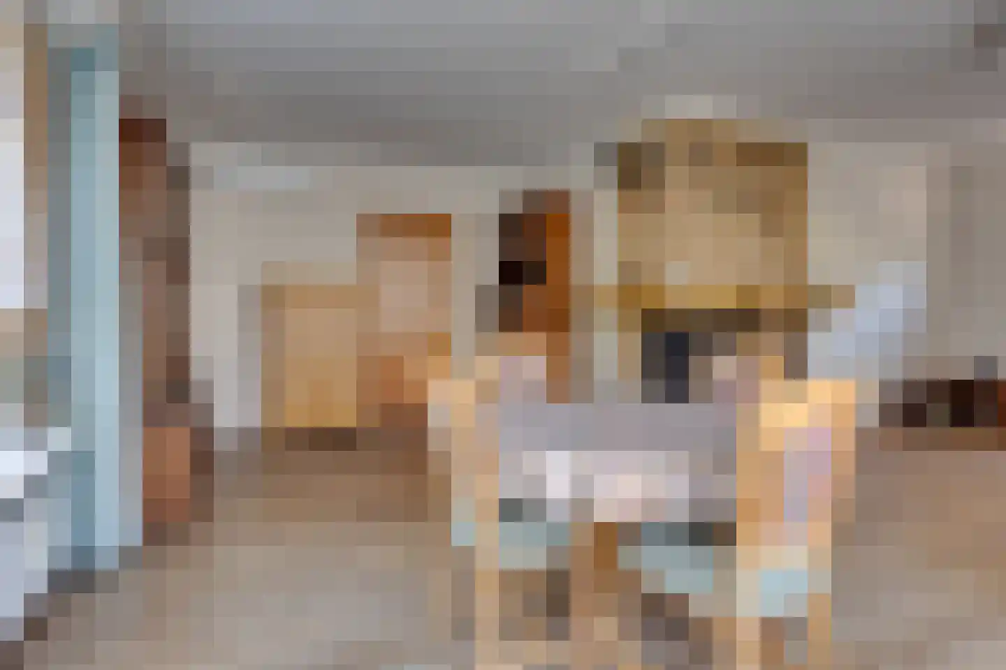 de Rode van Heeckerenstraat 14 Lichtenvoorde thumbnail 11