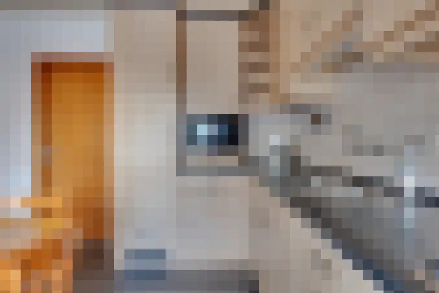 de Rode van Heeckerenstraat 14 Lichtenvoorde thumbnail 15
