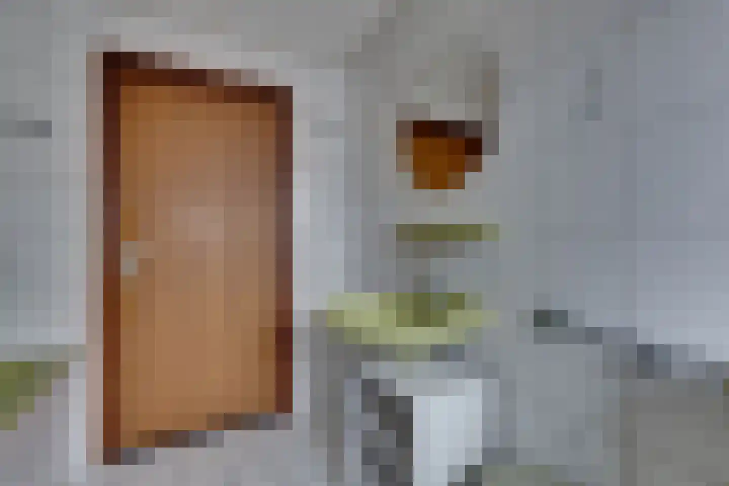 de Rode van Heeckerenstraat 14 Lichtenvoorde thumbnail 35