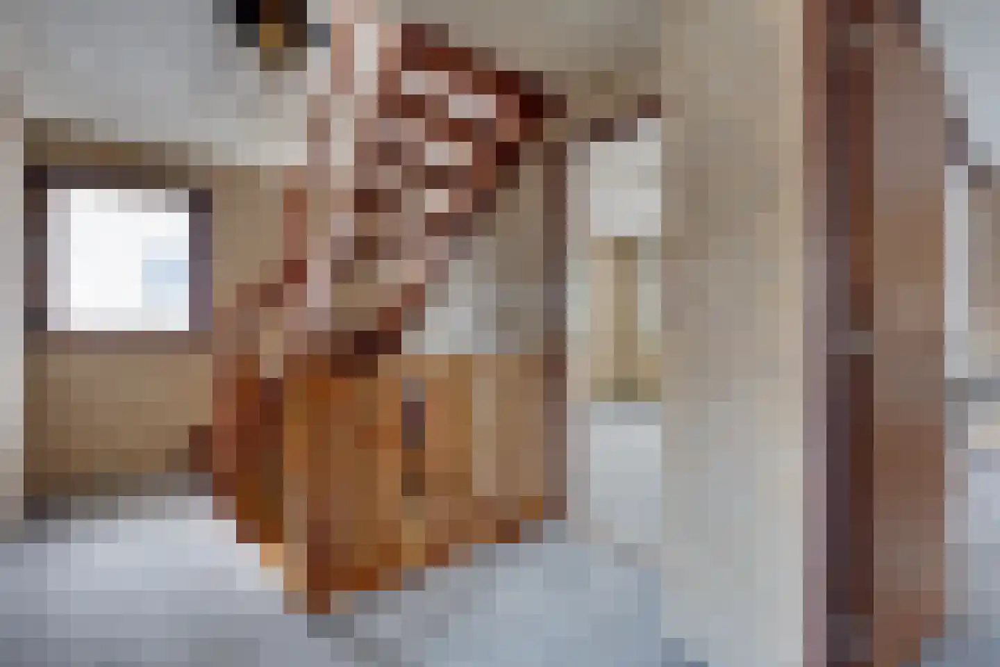 de Rode van Heeckerenstraat 14 Lichtenvoorde thumbnail 36