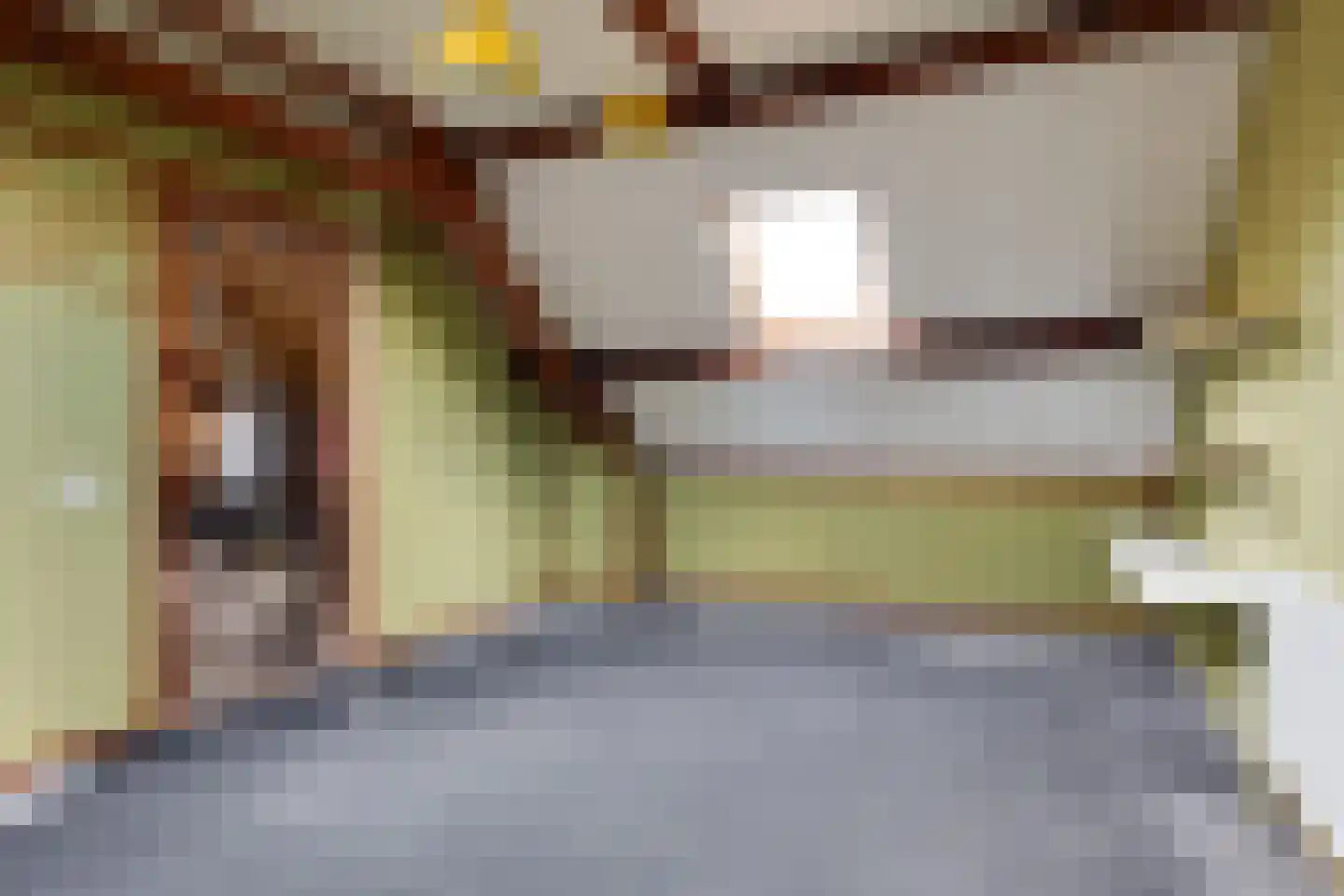 de Rode van Heeckerenstraat 14 Lichtenvoorde thumbnail 39