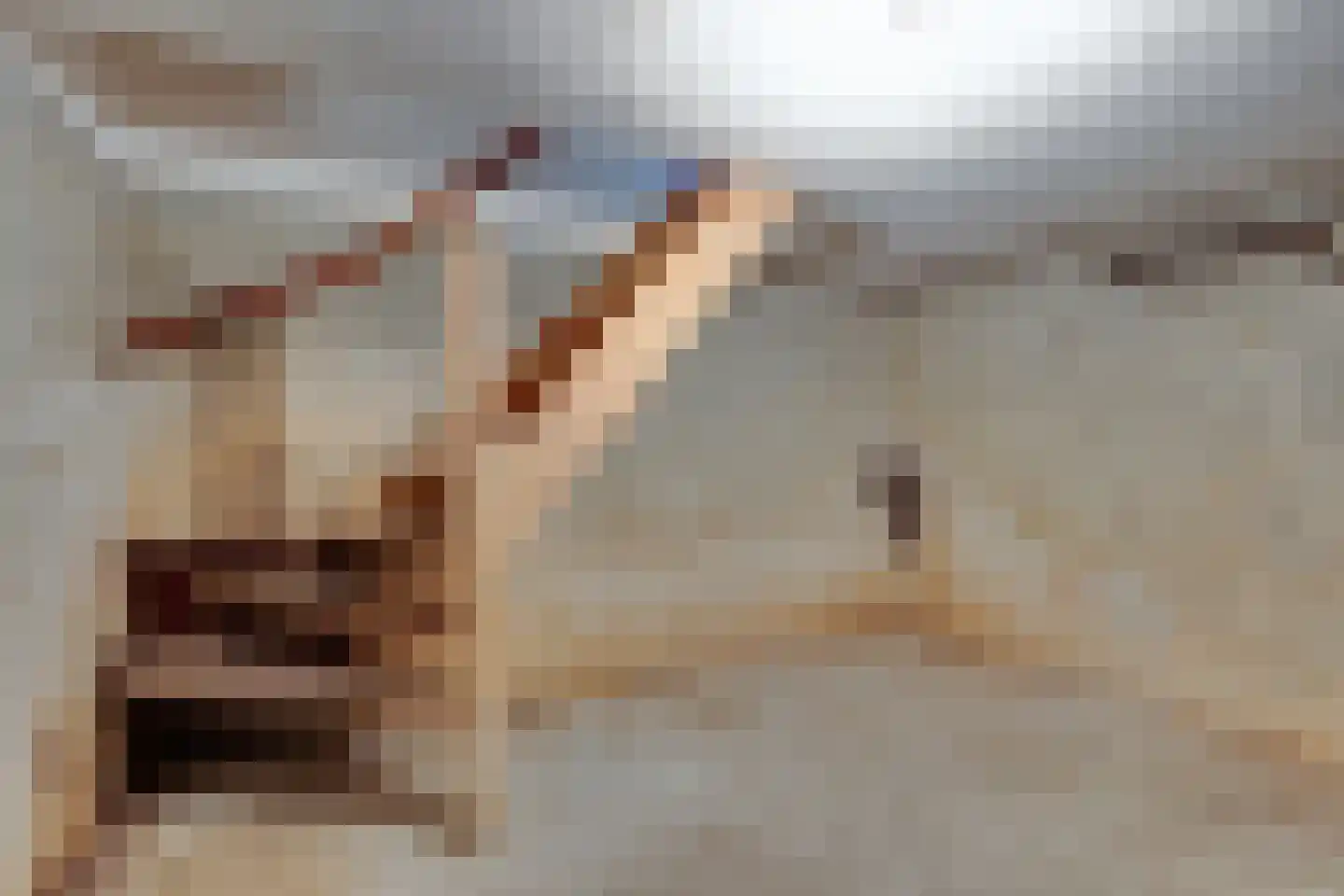 de Rode van Heeckerenstraat 14 Lichtenvoorde thumbnail 41