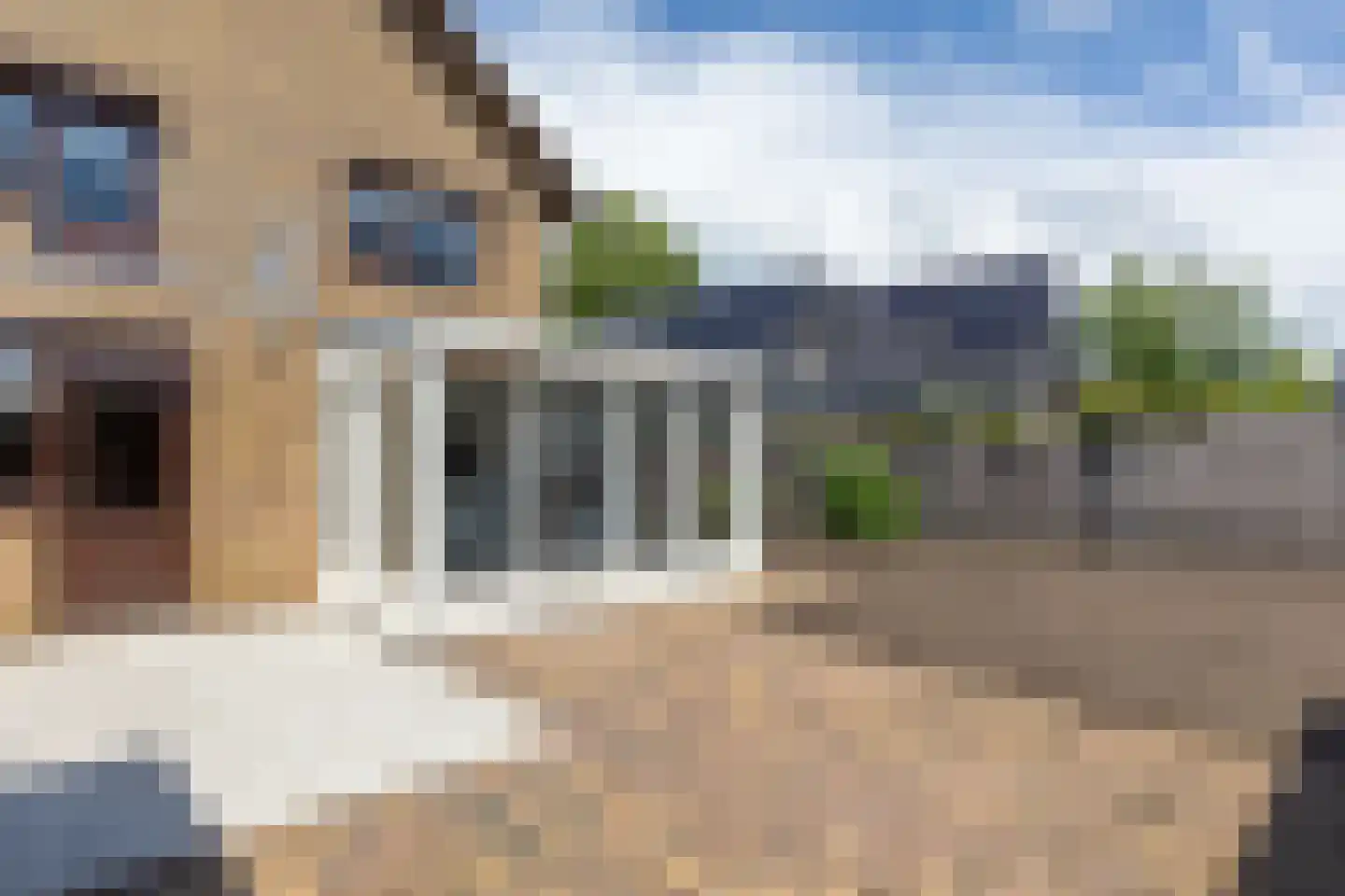 de Rode van Heeckerenstraat 14 Lichtenvoorde thumbnail 45