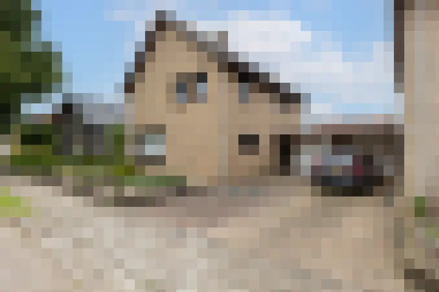 de Rode van Heeckerenstraat 14 Lichtenvoorde thumbnail 54