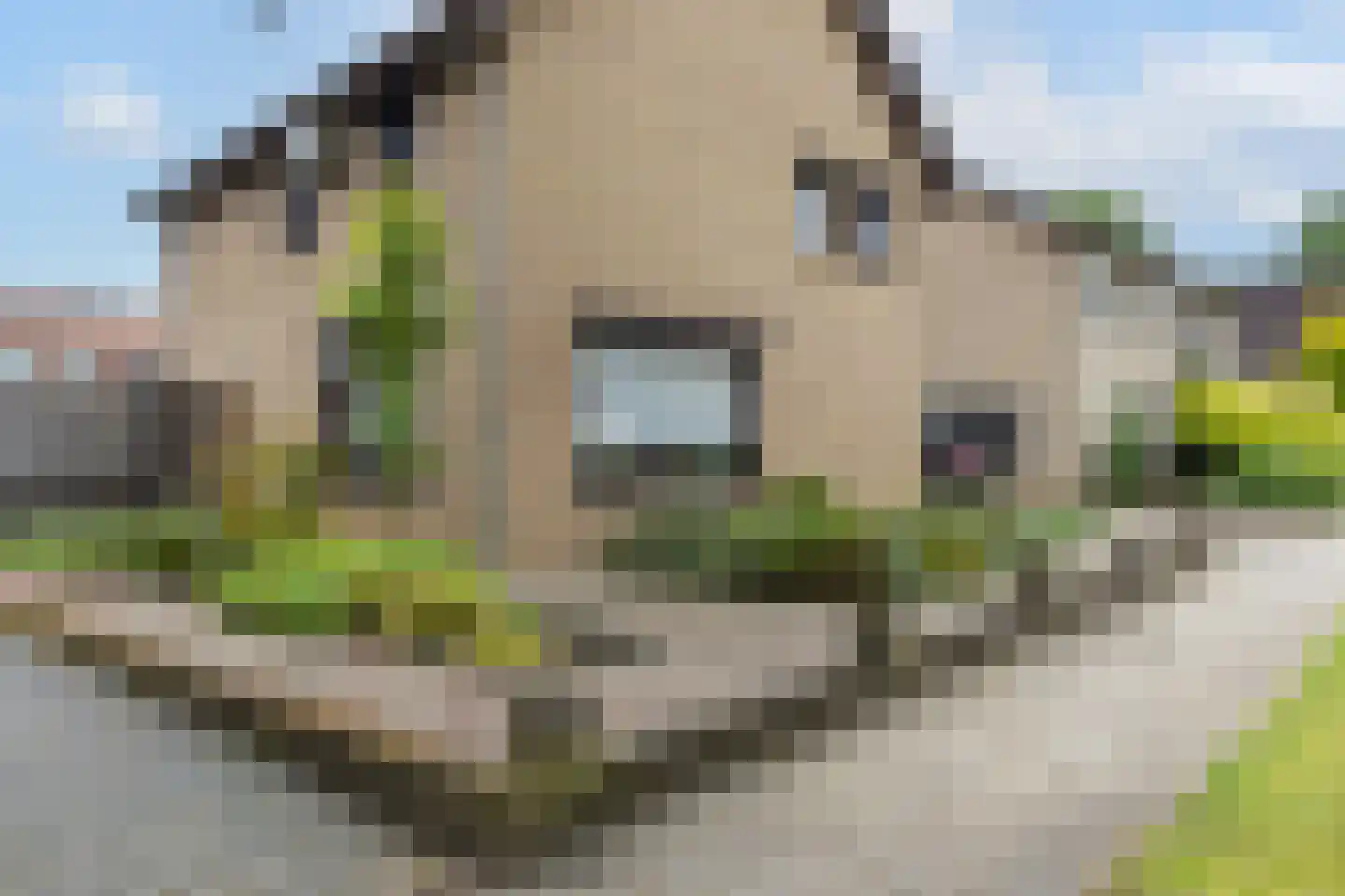 de Rode van Heeckerenstraat 14 Lichtenvoorde thumbnail 55