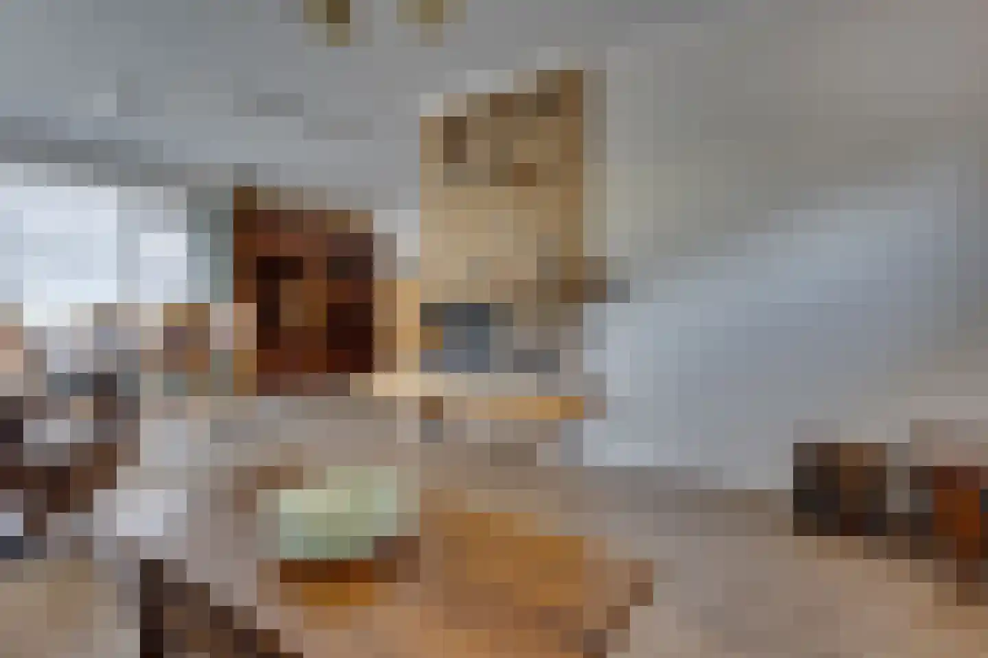 de Rode van Heeckerenstraat 14 Lichtenvoorde thumbnail 9