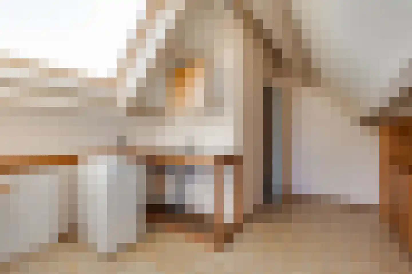 de Rode van Heeckerenstraat 9 Lichtenvoorde thumbnail 21