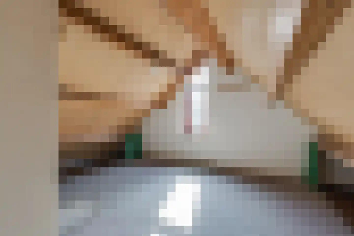 de Rode van Heeckerenstraat 9 Lichtenvoorde thumbnail 22