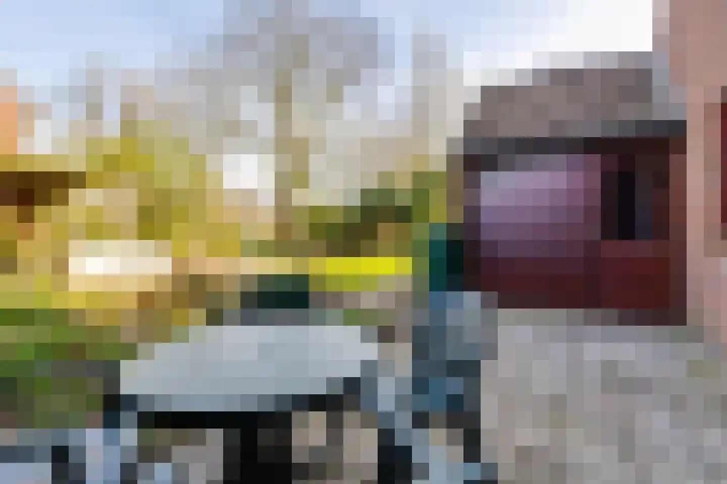 de Rode van Heeckerenstraat 9 Lichtenvoorde thumbnail 25