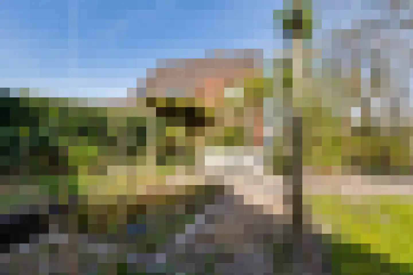 de Rode van Heeckerenstraat 9 Lichtenvoorde thumbnail 26