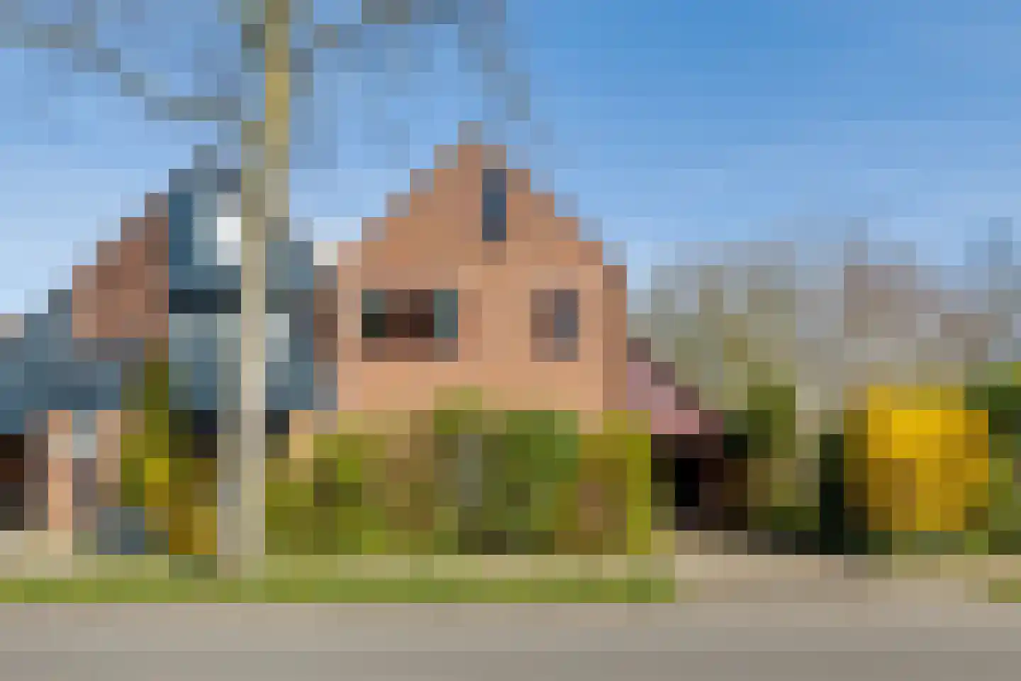 de Rode van Heeckerenstraat 9 Lichtenvoorde thumbnail 32