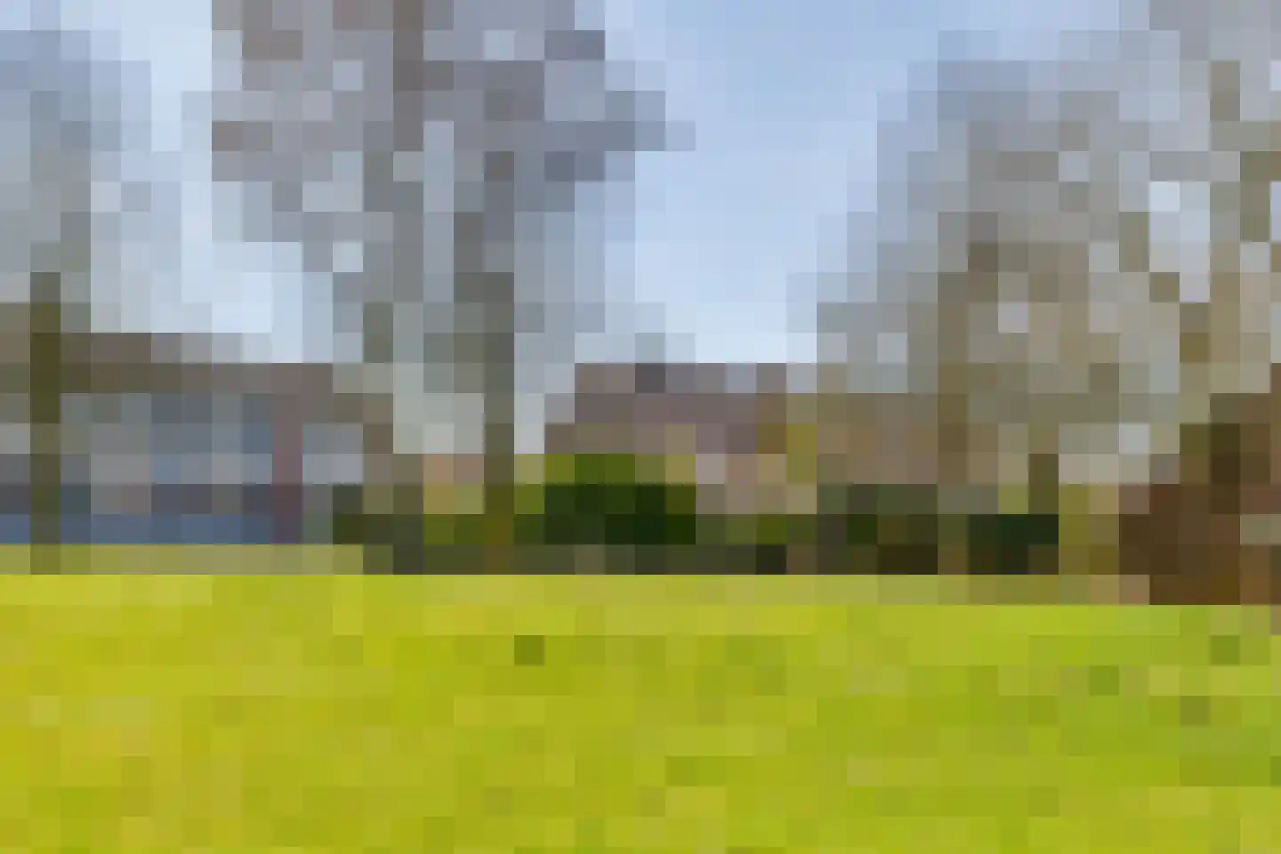 de Rode van Heeckerenstraat 9 Lichtenvoorde thumbnail 34
