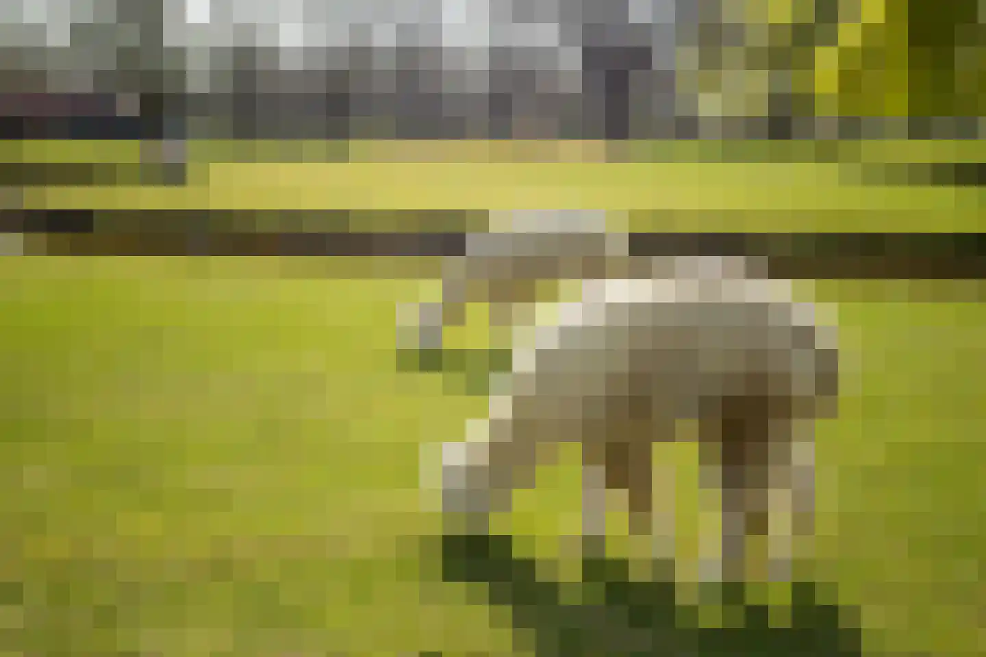 de Rode van Heeckerenstraat 9 Lichtenvoorde thumbnail 37