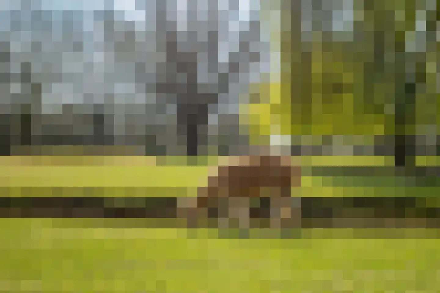de Rode van Heeckerenstraat 9 Lichtenvoorde thumbnail 6