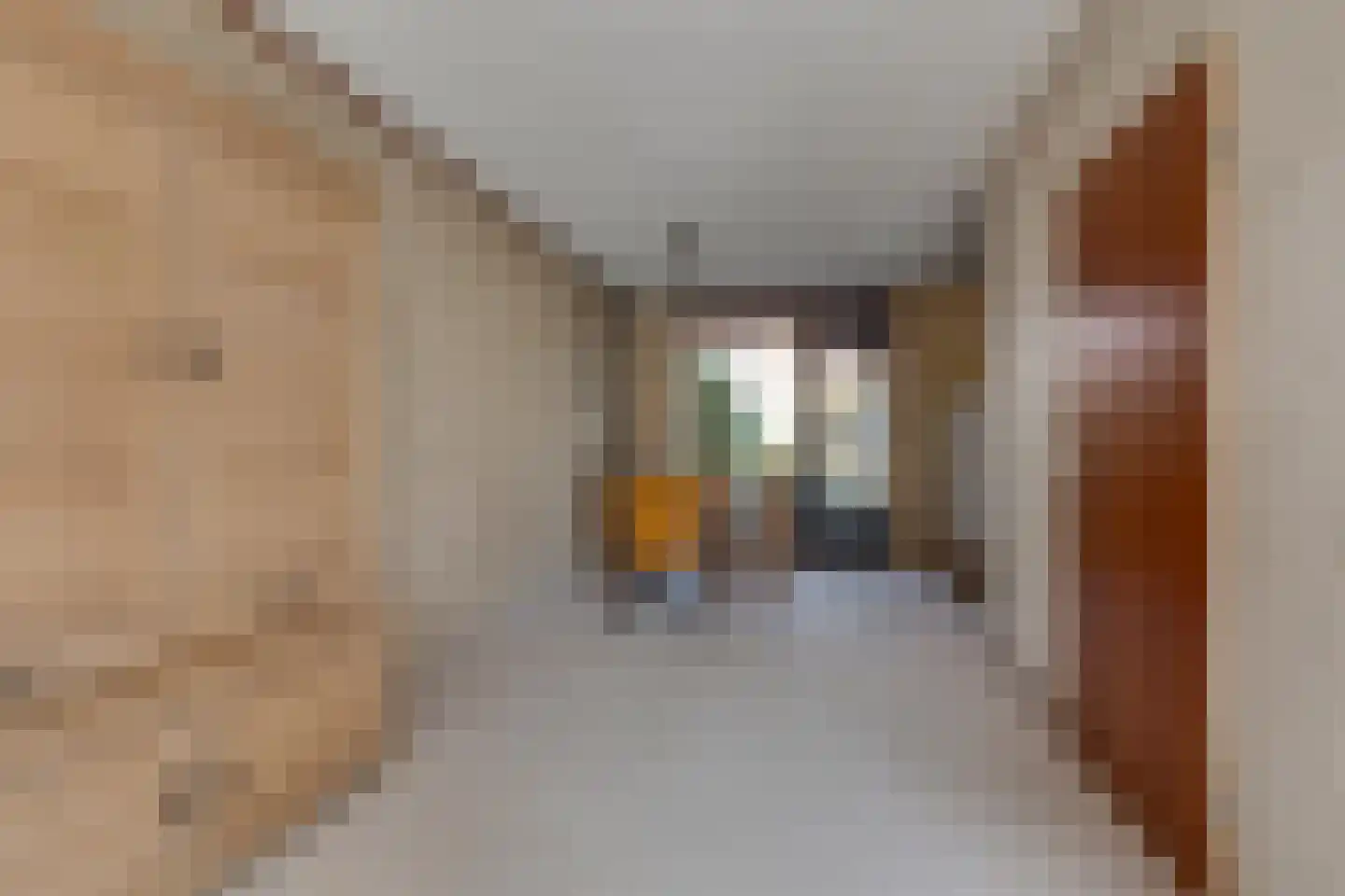 de Rode van Heeckerenstraat 9 Lichtenvoorde thumbnail 9