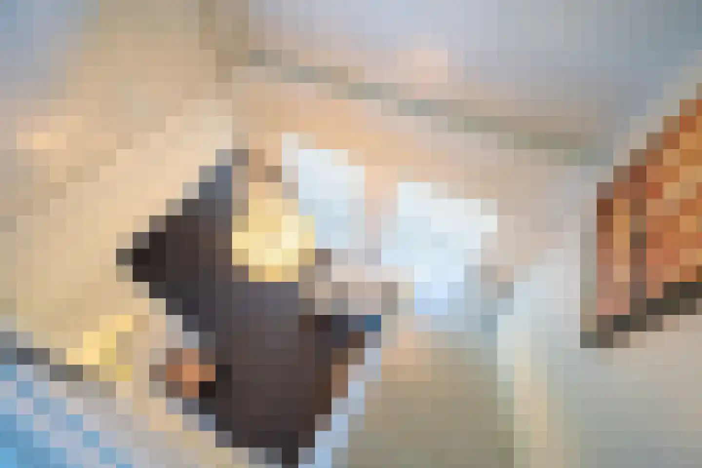 de Roder 2 Grijpskerk thumbnail 34