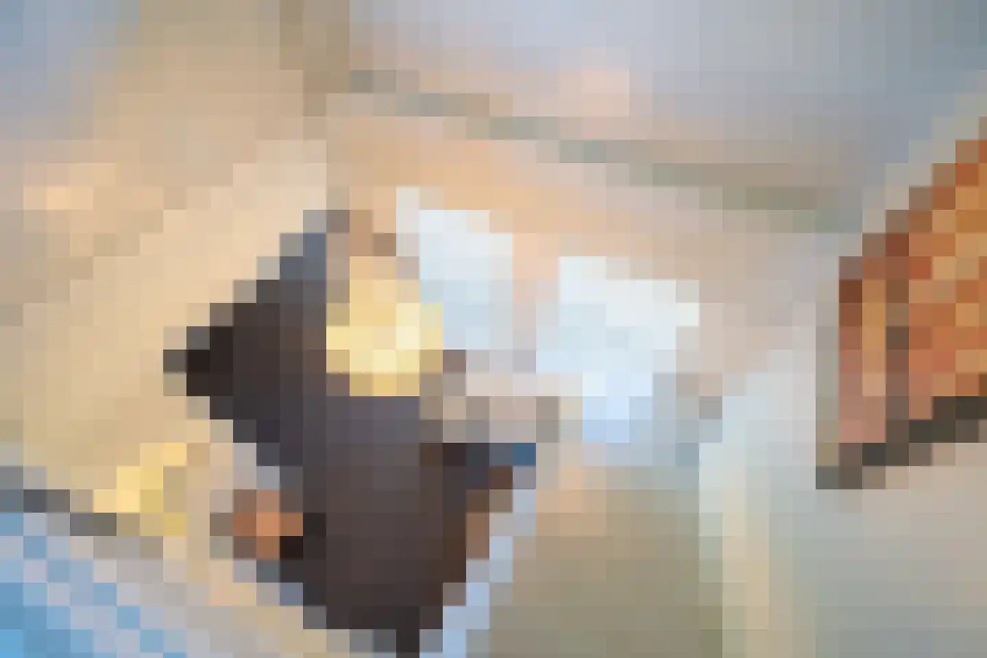 de Roder 2 Grijpskerk thumbnail 34
