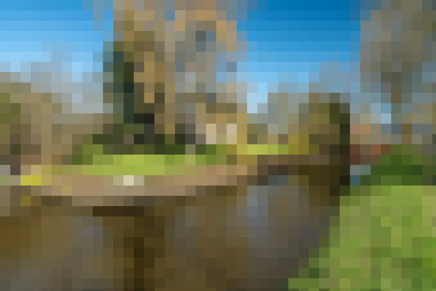 de Roder 2 Grijpskerk thumbnail 4