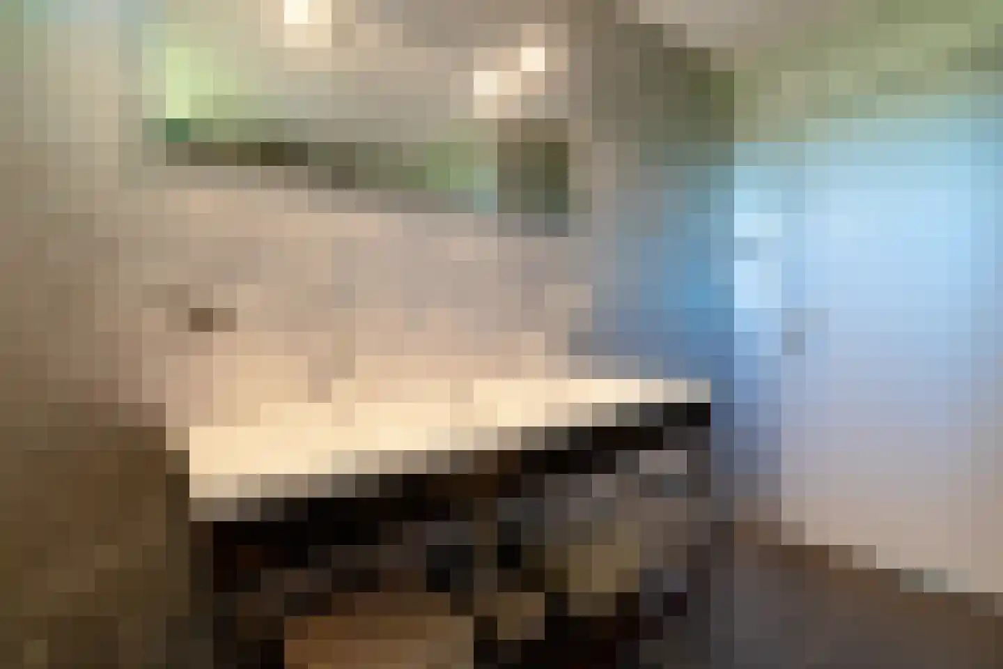 de Roder 2 Grijpskerk thumbnail 45