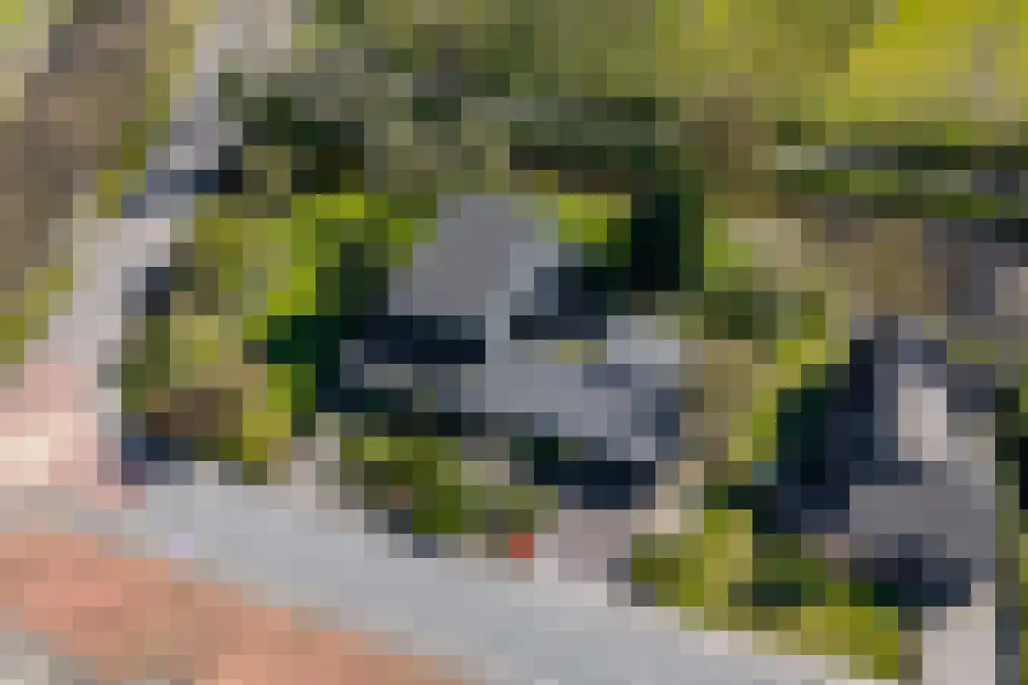 de Roder 2 Grijpskerk thumbnail 5