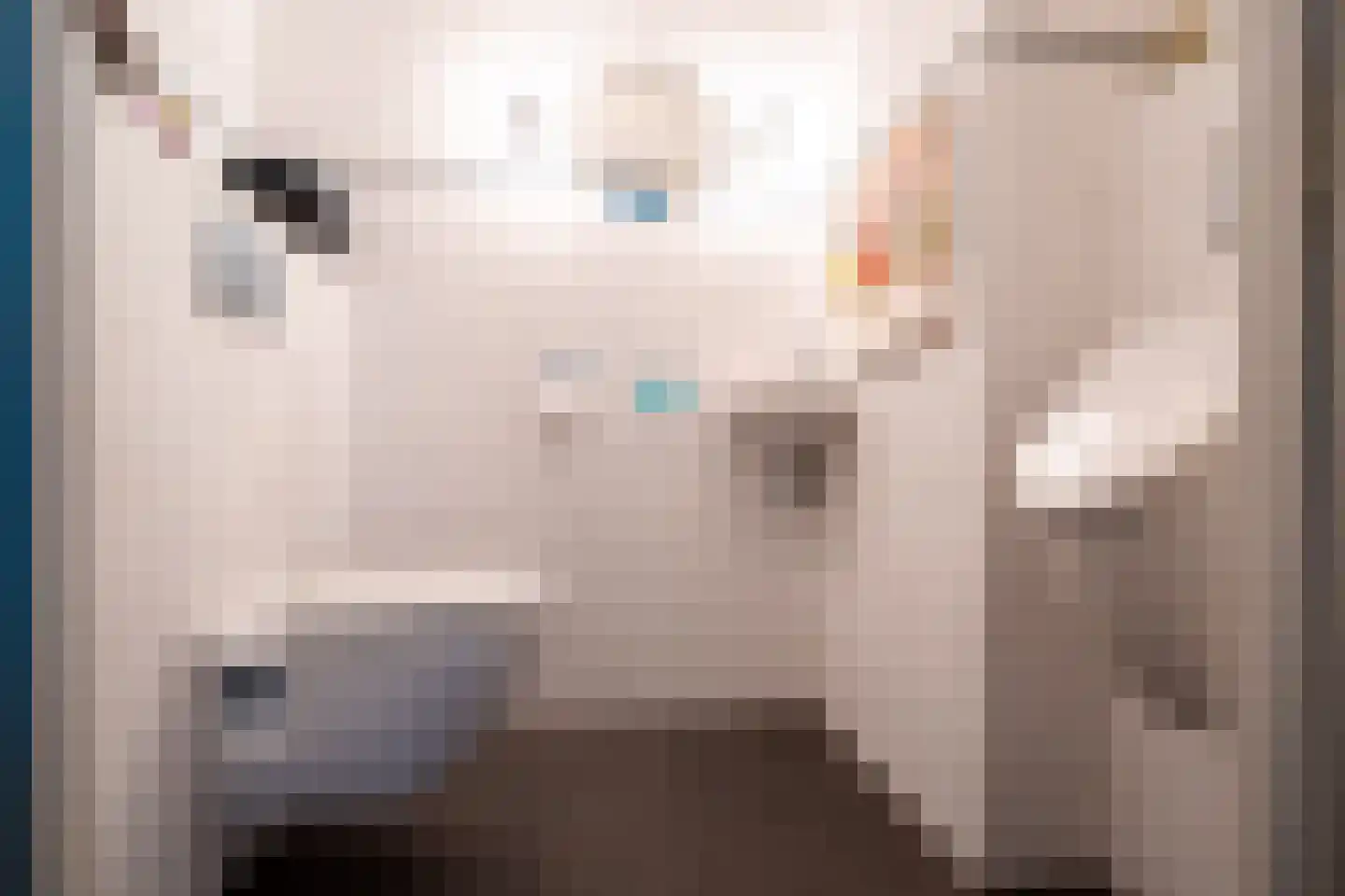 de Roder 2 Grijpskerk thumbnail 51