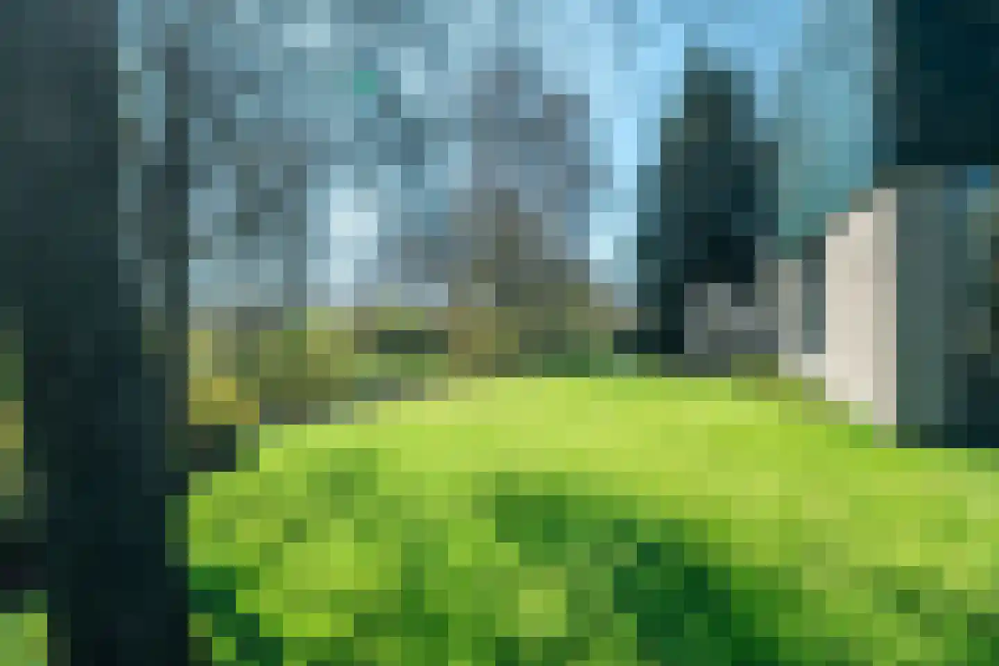 de Roder 2 Grijpskerk thumbnail 58