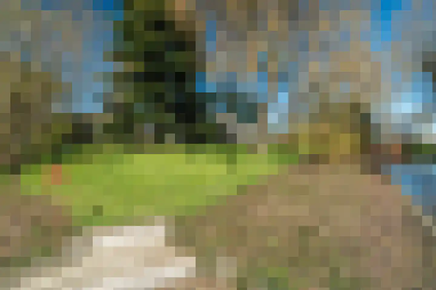 de Roder 2 Grijpskerk thumbnail 59