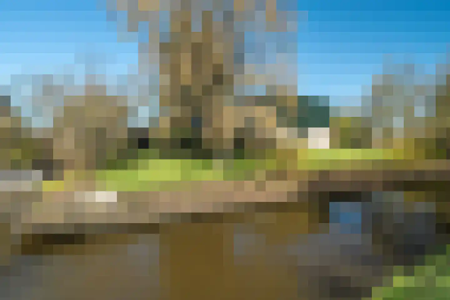 de Roder 2 Grijpskerk thumbnail 61