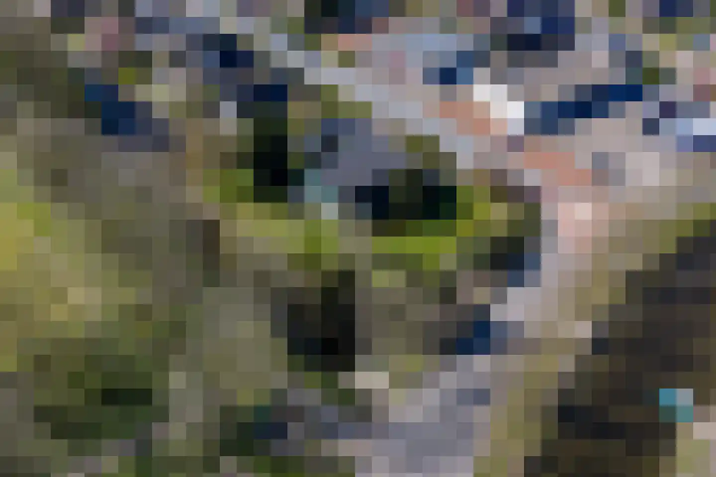 de Roder 2 Grijpskerk thumbnail 67
