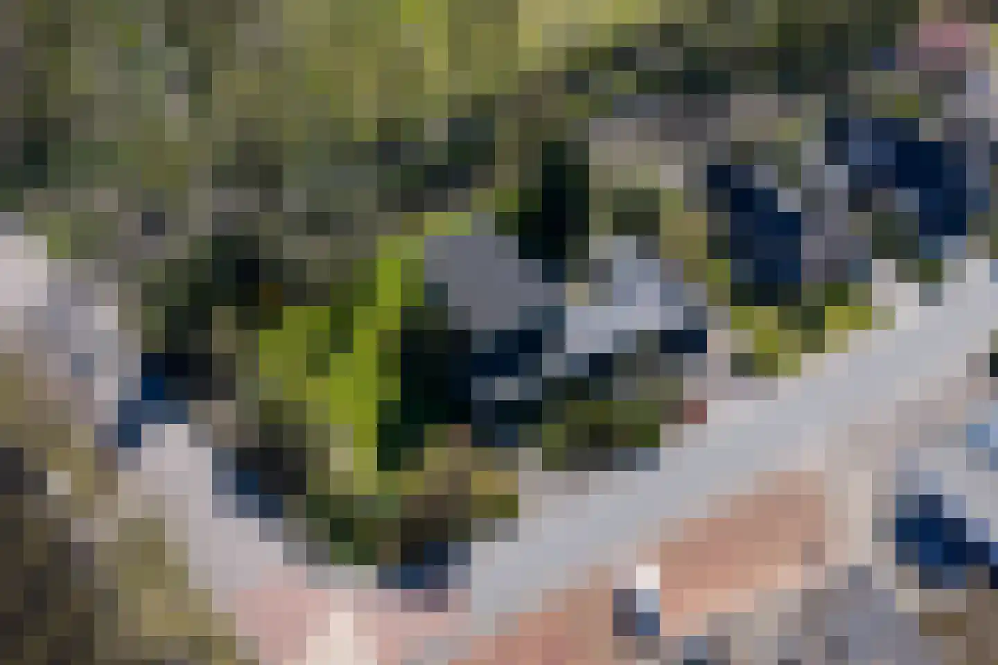 de Roder 2 Grijpskerk thumbnail 68