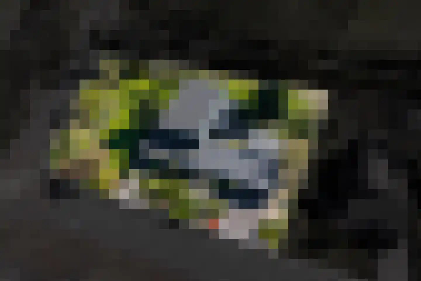 de Roder 2 Grijpskerk thumbnail 69