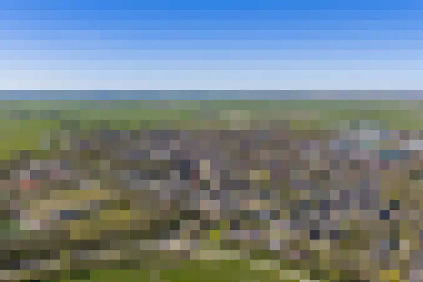 de Roder 2 Grijpskerk thumbnail 70