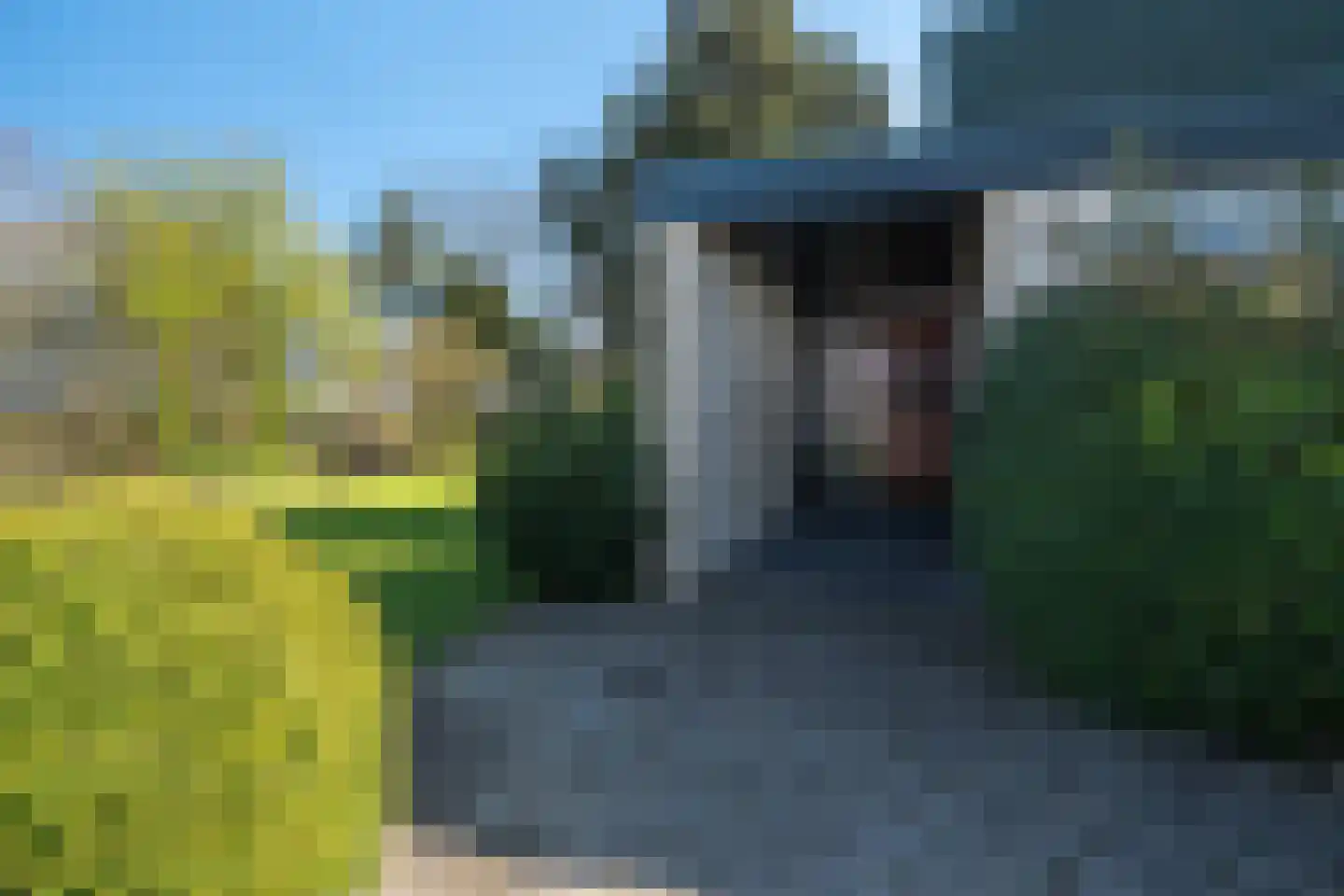 de Roder 2 Grijpskerk thumbnail 8