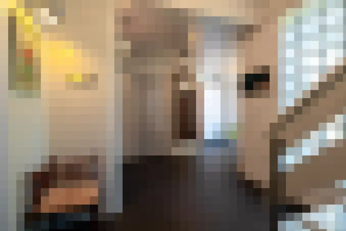 de Roder 2 Grijpskerk thumbnail 9