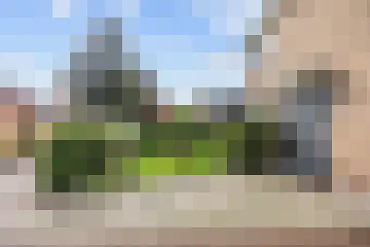 De Roe 6 Grootegast thumbnail 10