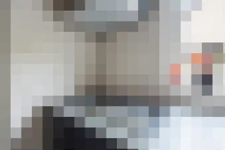 De Roe 6 Grootegast thumbnail 19