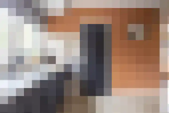 De Roe 6 Grootegast thumbnail 20