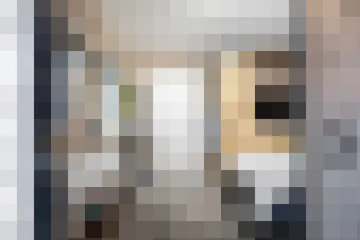 De Roe 6 Grootegast thumbnail 33