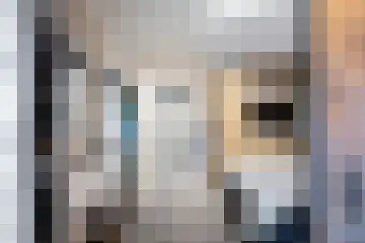 De Roe 6 Grootegast thumbnail 36
