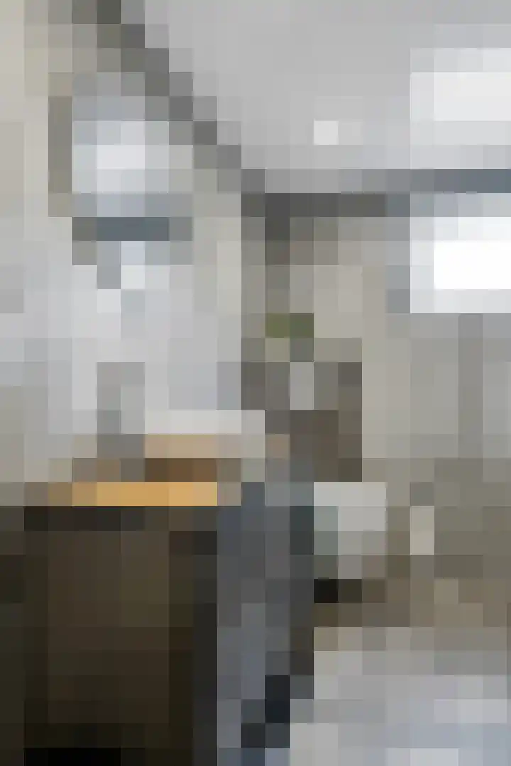 De Roe 6 Grootegast thumbnail 37