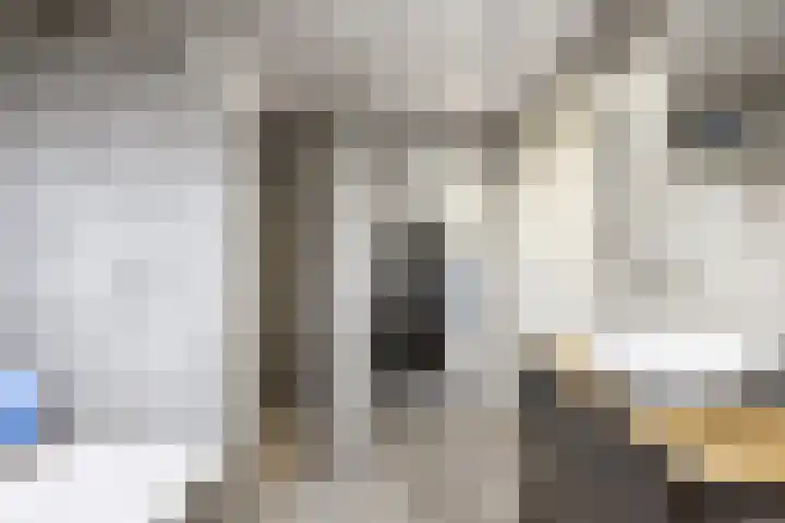 De Roe 6 Grootegast thumbnail 39