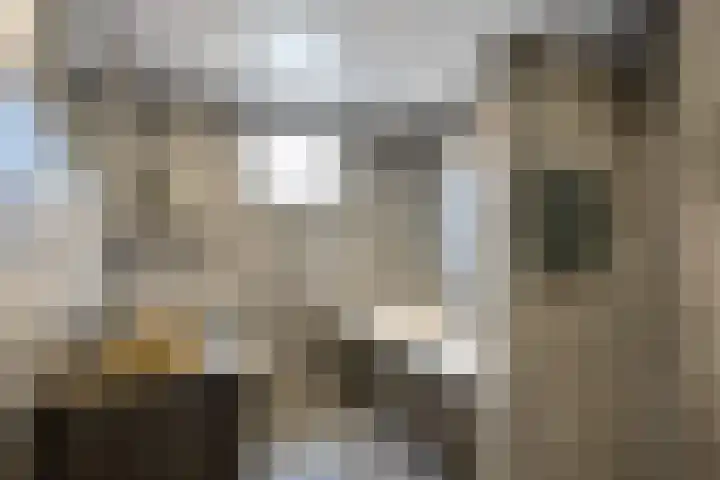 De Roe 6 Grootegast thumbnail 4