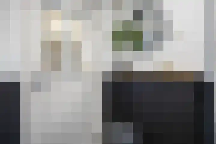 De Roe 6 Grootegast thumbnail 41