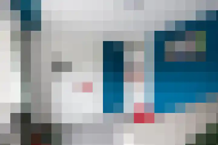 De Roe 6 Grootegast thumbnail 50