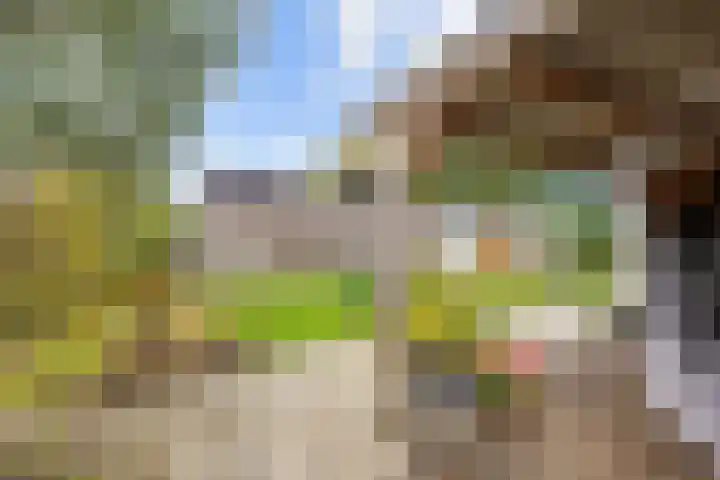 De Roe 6 Grootegast thumbnail 58