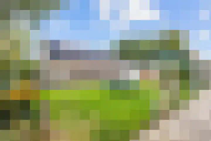De Roe 6 Grootegast thumbnail 59