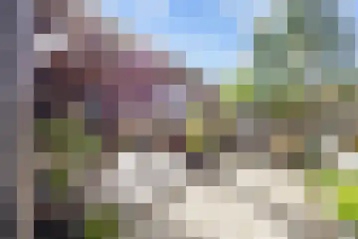 De Roe 6 Grootegast thumbnail 62