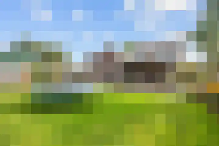 De Roe 6 Grootegast thumbnail 63