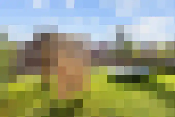De Roe 6 Grootegast thumbnail 65