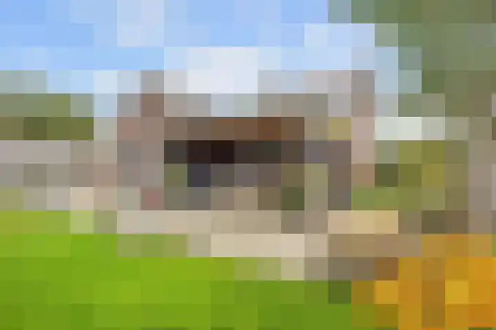 De Roe 6 Grootegast thumbnail 66
